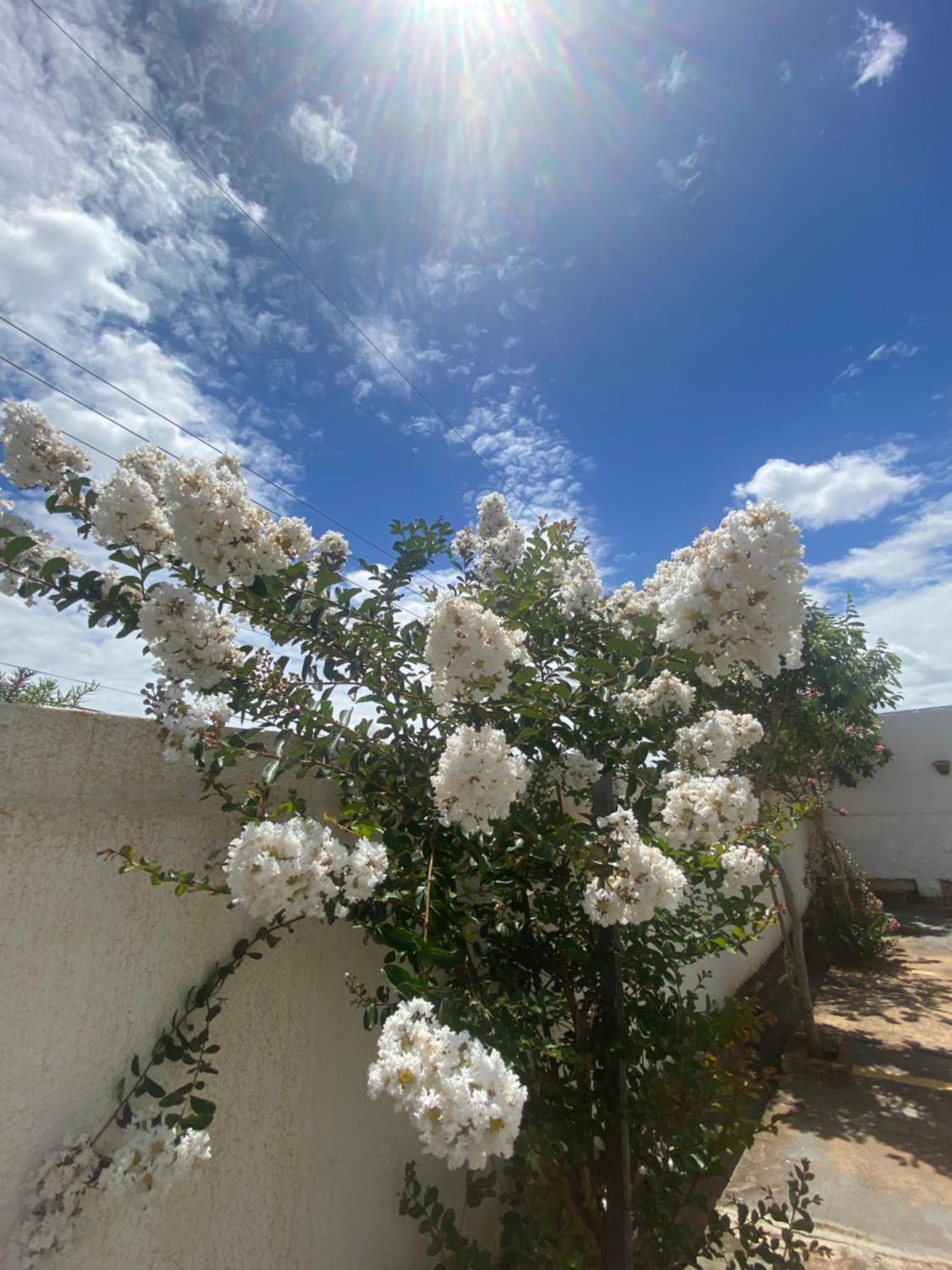 Queiroz Palace Hotel Siqueira Campos Esterno foto